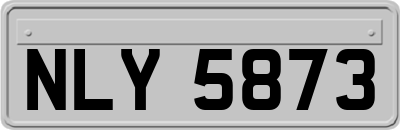 NLY5873