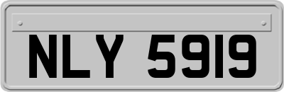 NLY5919