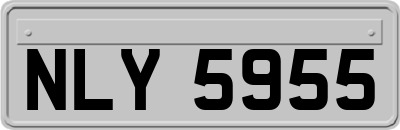 NLY5955