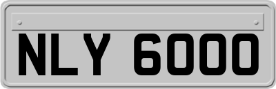 NLY6000
