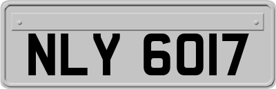 NLY6017