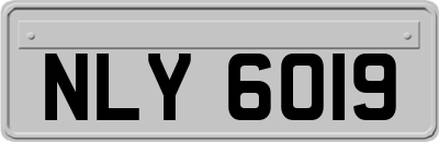 NLY6019