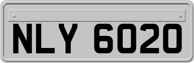 NLY6020