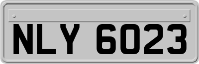 NLY6023