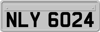 NLY6024