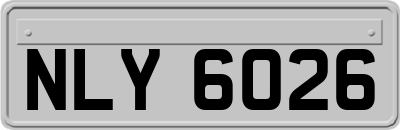 NLY6026