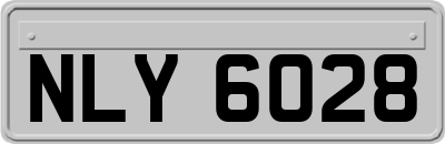 NLY6028