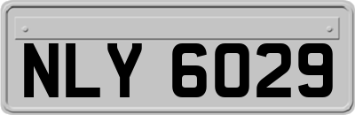 NLY6029