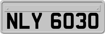 NLY6030