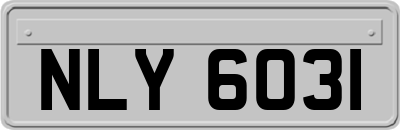 NLY6031