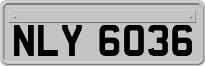 NLY6036