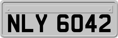 NLY6042