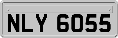 NLY6055