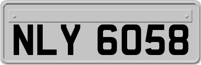 NLY6058