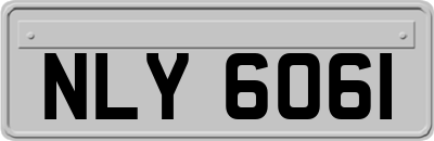NLY6061