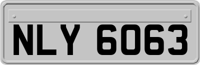 NLY6063