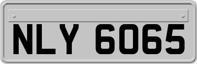 NLY6065