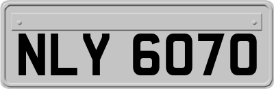 NLY6070
