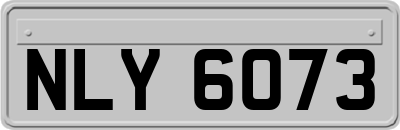 NLY6073