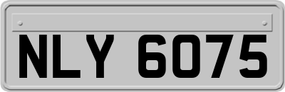 NLY6075