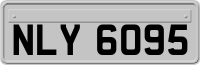 NLY6095
