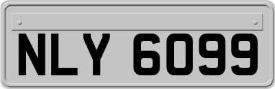 NLY6099