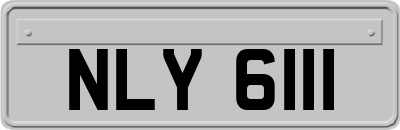 NLY6111