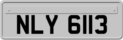 NLY6113