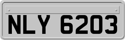 NLY6203