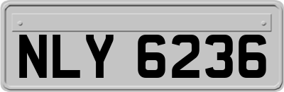 NLY6236