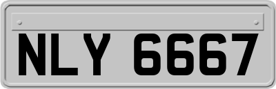 NLY6667