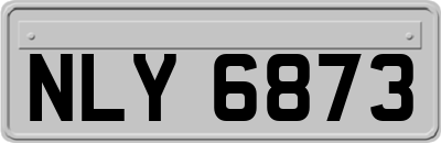 NLY6873