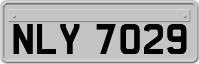 NLY7029