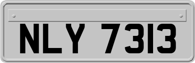 NLY7313