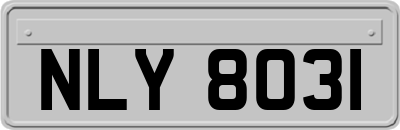 NLY8031