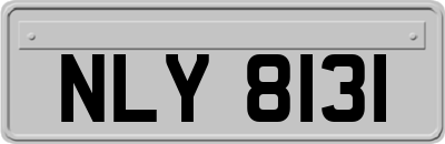 NLY8131