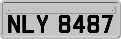 NLY8487