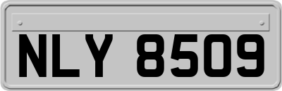 NLY8509