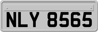 NLY8565