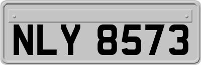 NLY8573