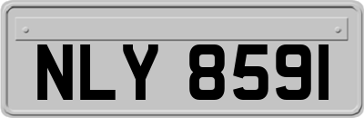 NLY8591