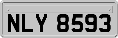 NLY8593