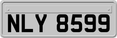 NLY8599