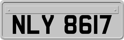 NLY8617