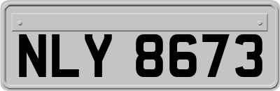 NLY8673