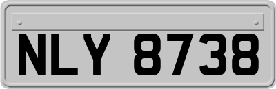 NLY8738