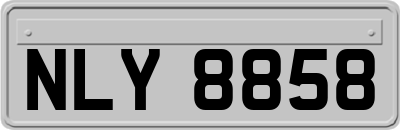 NLY8858