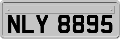 NLY8895