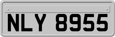 NLY8955