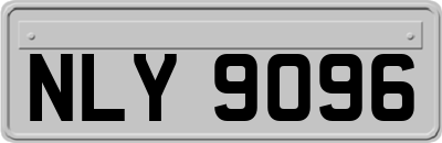 NLY9096